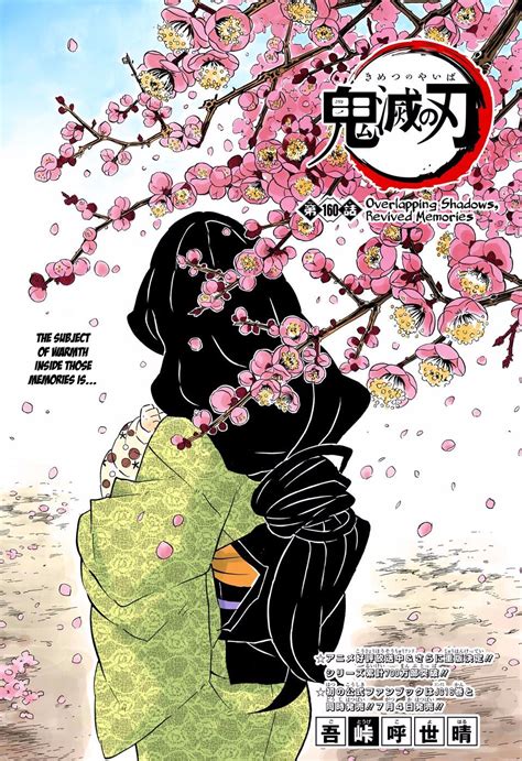 Kimetsu No Yaiba Digital Colored Comics Chapter 160