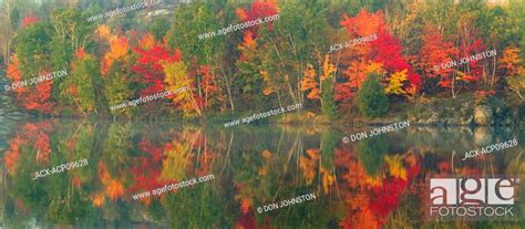 Autumn Colours In Hardwood Forest Reflected In Simon Lake Conservation