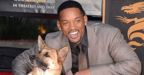 Hot Celebrities With Dogs Pictures Popsugar Celebrity