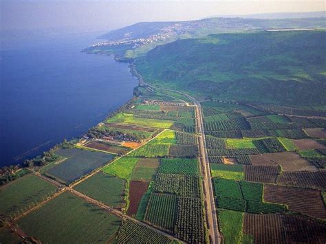 دليل فلسطين الشامل، دليل تجاري، دليل طبي، شركات فلسطين، طقس فلسطين، حالة الطقس في فلسطين، دليل الهاتف الفلسطيني، دليل جوال، للبيع في فلسطين. الجغرافيا في فلسطين المحتلة