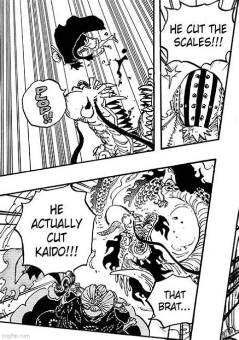 One Piece Chapter Spoilers Mangahelpers Management And Leadership
