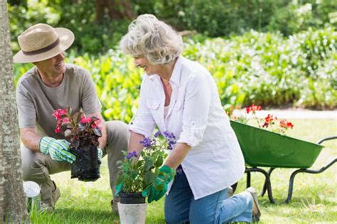 9 Fantastic Benefits Of Gardening For Seniors