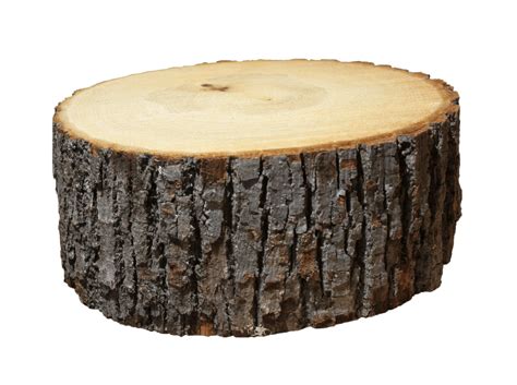 Wood Slice Png Free Logo Image