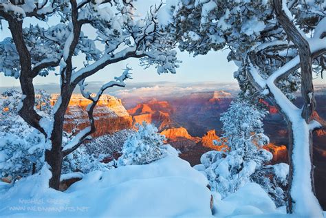 Heavens Wonderland Grand Canyon National Park Az Michael Greenes