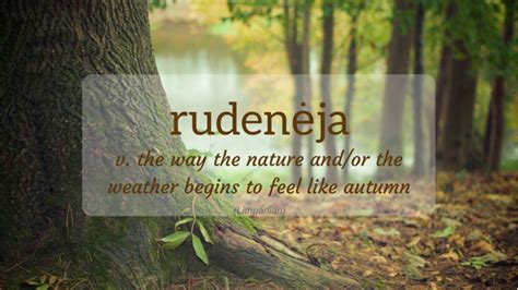 Nature Word Of The Month October 2017 Nature Words Rare Words Words