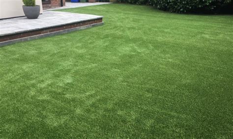 Artificial Grass For Dogs And Pets Hull Grimsby And Lincoln Easigrass