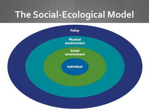 The Social Ecological Model