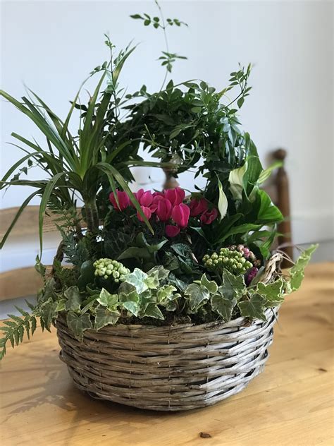 Brighten up their home and beautify their garden with gettingpersonal.co.uk's unique personalised gifts for the home and garden! Indoor Gift Basket - In the Garden
