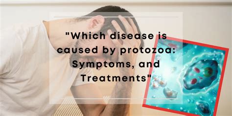 Which Disease Is Caused By Protozoa Symptoms And Treatments