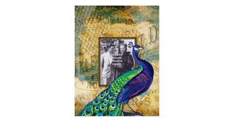 Vintage Peacock In Paris Frame Postcard Zazzle
