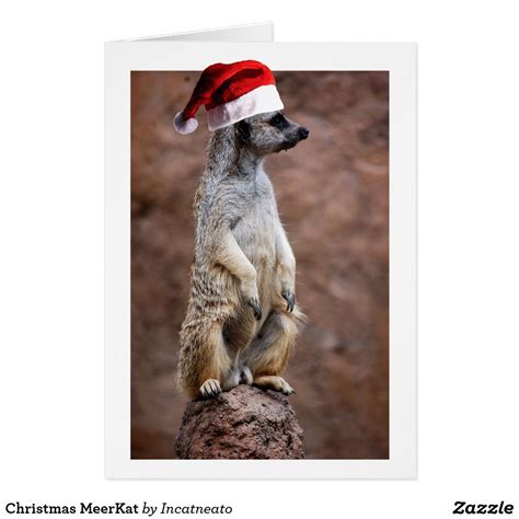 Christmas Meerkat Holiday Card Holiday Design Card