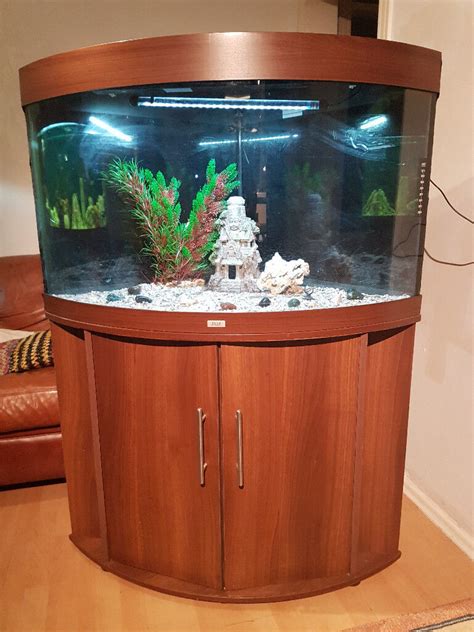 Corner Fish Tanks For Sale Find Great Deals On Fish Tanks In Your