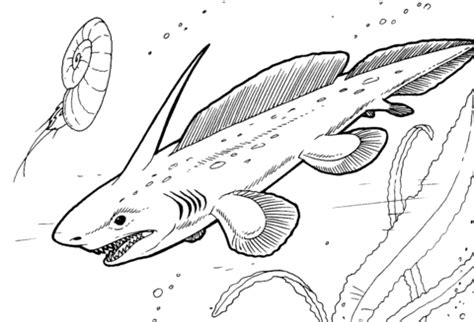 Here are some fun and free printable ancient egyptian themed coloring pages for toddlers and preschoolers to color. Pleuracanthus - Prehistoric Shark coloring page | Free ...
