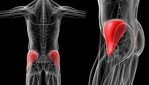 Gluteus Medius Syndrome Treatment Total Health Systems