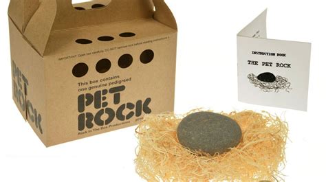 Hard Sell: A History of the Pet Rock | Mental Floss