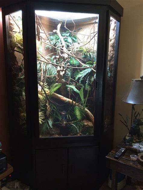 Mar 06, 2020 · diy reptile enclosure plan #2: DIY reptile furniture cage for chameleon finished picture ...