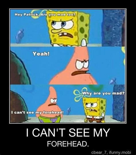 This Is My Favorite Spongebob Moment Spongebob Funny New Funny Memes