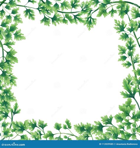 Borders With Leaves Leaf Border Png Images Pngwing Use Border