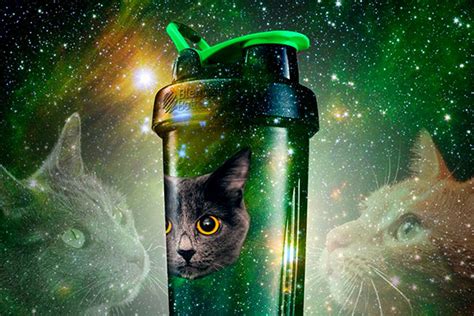 Sure, kittens are curious by nature, but when they get in a kitchen full of dangerous appliances, it is up to you to save them. BlenderBottle trying to make its Galaxy Cat joke a reality