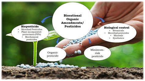 Frontiers Plant Disease Management Leveraging On The Plant Microbe