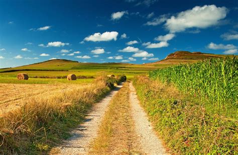 Field Wallpaper Summer Wallpaper Scenery Wallpaper Nature Wallpaper