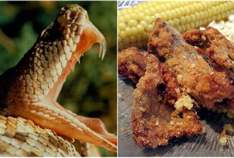 Exotic Foods That Can Kill You Meals From Around The World That Can