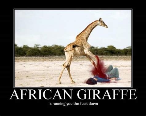 Funny Giraffe Quotes Quotesgram