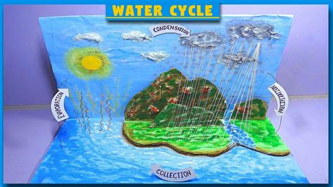 Water Cycle Project Chasetuzamora