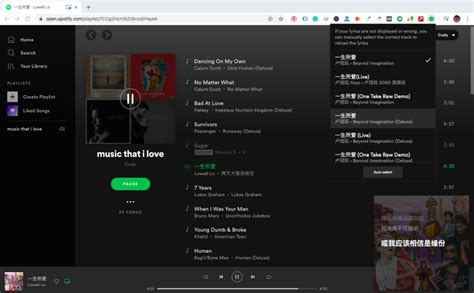 Display Synced Spotify Lyrics In Real Time Right Now Chrunos