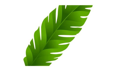 8.3 x 11.7 inches/210 x 297 mm (a4) original image: Palm clipart palm leaf, Palm palm leaf Transparent FREE ...