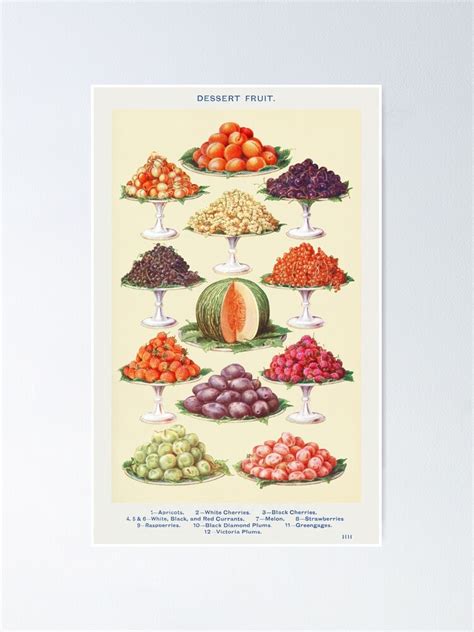 Vintage Dessert Fruits Chart Poster For Sale By Suziqprayers427