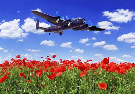 Avro Lancaster Over Poppy Fields Canvas Prints Various Sizes Free Delivery Ebay