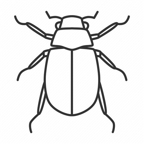 Arthropoda Beetle Bug Chafer Insect Junebug Melolontha Icon