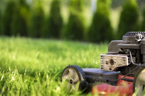 Once you find out which part you need to replace, search your model number to find the complete list of parts for your riding mower or lawn tractor. How To Repair A Lawn | Restoring Damaged Grass/Lawn - Absolute Lawn Pros