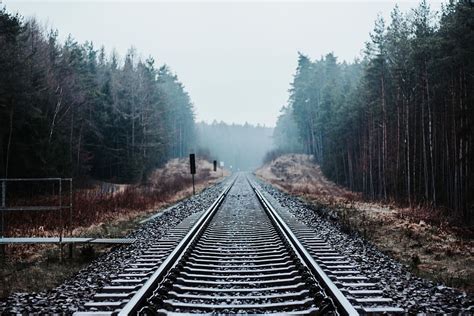 Hd Wallpaper Black Train Railings Railway Railroad Track Forest