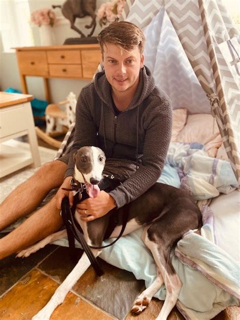 Many are euthanized because there is simply no place for them to go. Rio doing well in foster home - Forever Hounds Trust