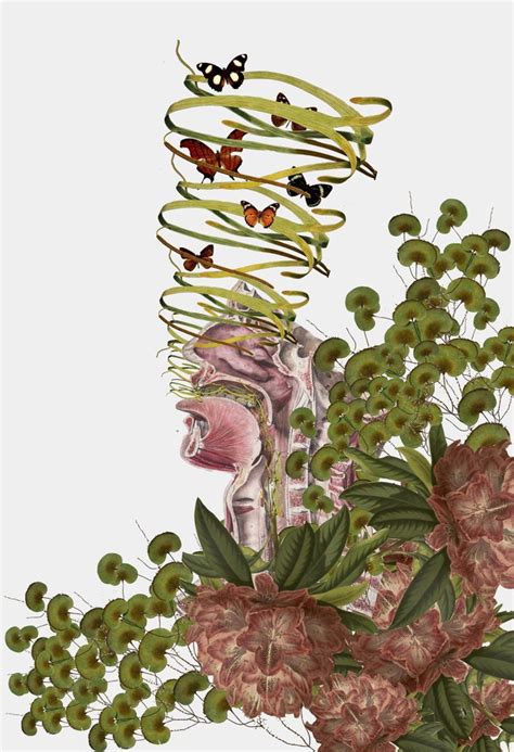 Anatomical Collages By Travis Bedel Collage Art Scientific