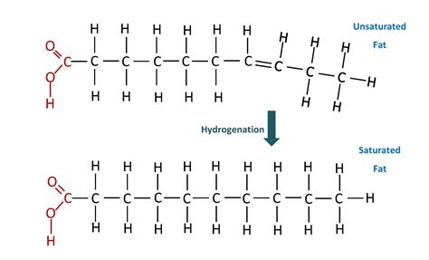 Hydrogenated Vegetable Oil Chemical Formula Best Vegetable In The World