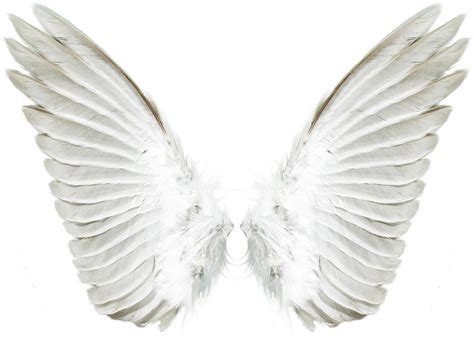 Angel Wings Clipart Free Transparent Png Clipart Images Free Download