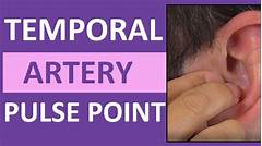 The Missing Piece Find Elevance Pulsepoint Locations Near You For Personalized Care