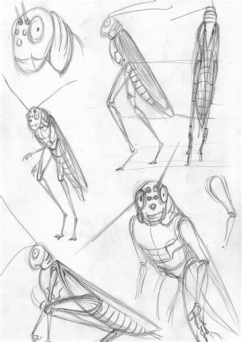 Grasshopper Man 1 Art Reference Poses Drawing Reference Character