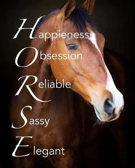 Equestrian Meaning Information Variuos