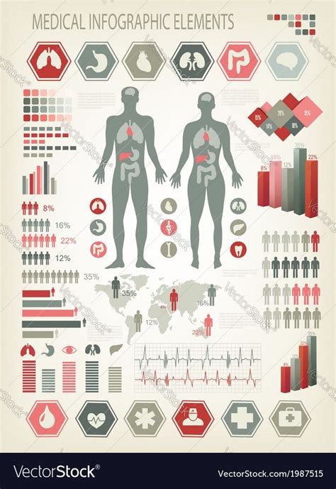 Medical Infographic Medical Infographics Elements Human Body With