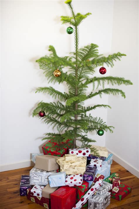 132,000+ vectors, stock photos & psd files. Photo of Decorated Christmas tree with presents | Free ...