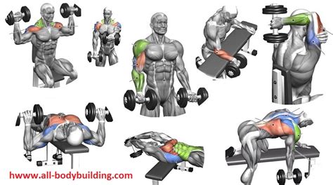 You definitely should master bodyweight exercises before progressing to barbells (or any weights, for that matter), but as long as you have a. Beginning Dumbbell Workout - Easy Exercises to Get Started ...