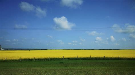 Prairie Wallpapers Top Free Prairie Backgrounds Wallpaperaccess