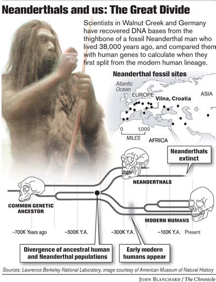 Wisdom Quarterly American Buddhist Journal Sex With Neanderthals Animation