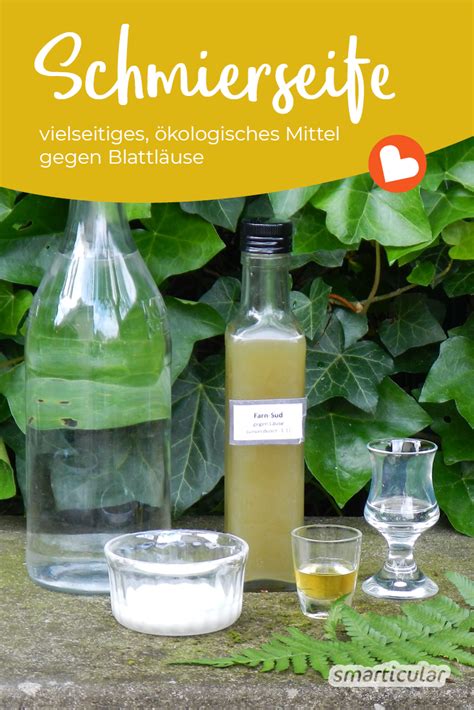 Geriebener apfel ist als hausmittel gegen durchfall schon sehr lange bekannt. Gegen dieses ökologische Mittel haben Blattläuse keine ...