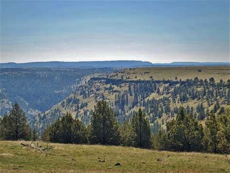 Long Creek Or Grant Country Land 450800 Acre For Sale In Fox Oregon