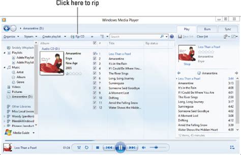 How To Adjust The Windows Media Player Ripping Settings Dummies